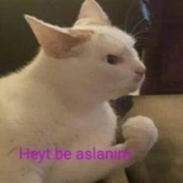 Resim Eki